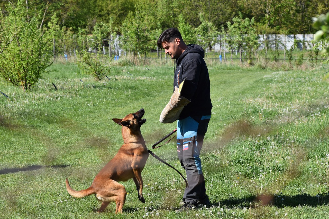 DSC_0916_1280x853.JPG